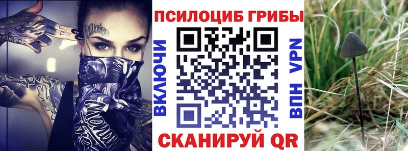hydra   Южноуральск  Псилоцибиновые грибы GOLDEN TEACHER  продажа наркотиков 